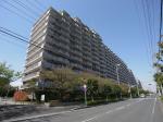 ライオンズマンション南市川　1010号室　《火災保険料弊社負担＆御引越などで使用頂ける現金10万円》