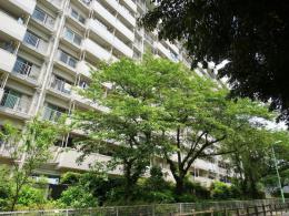 馬事公苑前ハイム南棟　603号室　《火災保険料弊社負担＆御引越などで使用頂ける現金20万円》