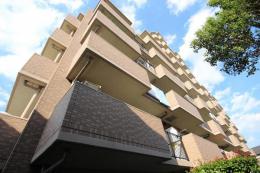 朝日パリオ西新井西館　206号室　《火災保険料弊社負担＆御引越などで使用頂ける現金10万円》