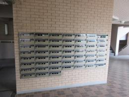 ベルシェ津田沼　203号室　 《火災保険料弊社負担＆御引越などで使用頂ける現金3万円》