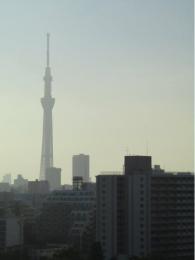 ソフィア東大島　1302号室　《火災保険料弊社負担＆御引越などで使用頂ける現金15万円》