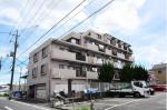 ベルフラワー鹿浜　204号室　《火災保険料弊社負担＆御引越などで使用頂ける現金3万円》