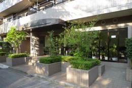 バームハイツ東綾瀬公園　302号室　《火災保険料弊社負担＆御引越などで使用頂ける現金10万円》