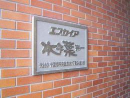 エスカイア本千葉第一　501号室　《火災保険料弊社負担＆御引越などで使用頂ける現金3万円》