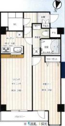 スカイコート神楽坂参番館　310号室《火災保険料弊社負担＆御引越などで使用頂ける現金20万円》　