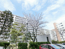 西船橋ハイム2号棟　1003号室　《火災保険料弊社負担＆御引越などで使用頂ける現金10万円》
