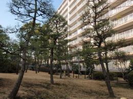西船橋ハイム2号棟　1003号室　《火災保険料弊社負担＆御引越などで使用頂ける現金10万円》