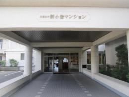 日商岩井新小岩マンション　810号室　《火災保険料弊社負担＆御引越などで使用頂ける現金10万円》