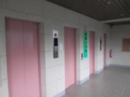 日商岩井新小岩マンション　810号室　《火災保険料弊社負担＆御引越などで使用頂ける現金10万円》