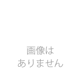 リンテージコート一之江　903号室　《火災保険料弊社負担＆御引越などで使用頂ける現金20万円》