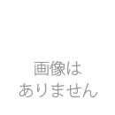 東和マンション　507号室　≪火災保険料弊社負担＆御引越などで使用頂ける現金3万円≫